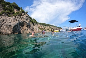 Dubrovnik: Privata båtturer till blå och gröna grottor med drycker