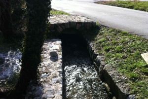 Dubrovnik: Cavtat och Konavle halvdags privat tur