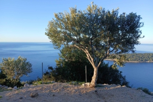 Dubrovnik: Früher Naturspaziergang mit historischem Touch
