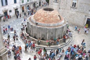 From Makarska: Day Trip to Dubrovnik