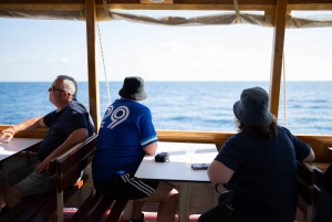 Inselhopping & Stadtmauer-Kreuzfahrt mit Essen und offener Bar