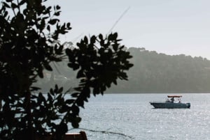 Dubrovnik:Elaphiti Islands and caves Private Speedboat Tour