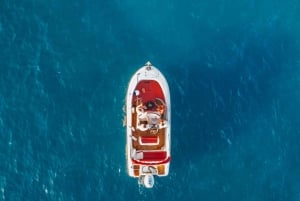 ドゥブロヴニク：エラフィティ諸島と洞窟プライベートスピードボートツアー