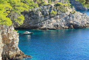 Dubrovnik : Croisière sur les îles Elaphiti avec déjeuner et boissons