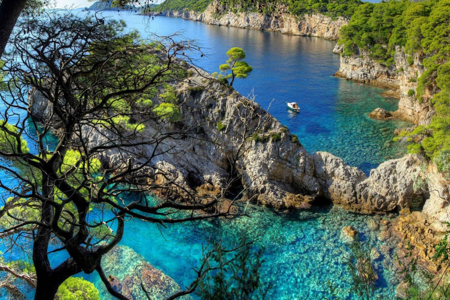 Dubrovnik: Viagem de um dia às Ilhas Elaphiti com almoço