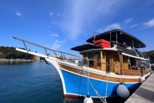 Dubrovnik: Dagstur til Elaphiti-øerne med frokost