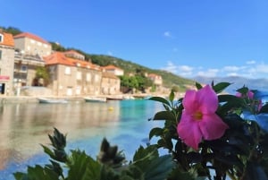 Dubrovnik: Ganztagestour mit Boot zur Blauen Höhle und zu den Elaphiti-Inseln
