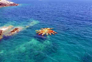 Dubrovnik: Koko päivän merikajakkiretki Elafitin saarille