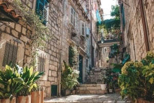 Desde Split/Trogir: Tour guiado de Dubrovnik con parada en Ston