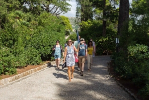 Dubrovnik: Juego de Tronos y tour a pie por la isla de Lokrum