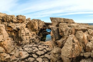 Dubrovnik: Game of Thrones Tour & Optional Lokrum Island