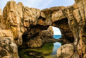 Dubrovnik: Game of Thrones Tour & Optional Lokrum Island