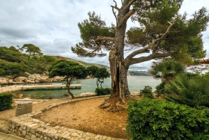 Dubrovnik: Game of Thrones Tour & Optional Lokrum Island
