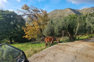 Dubrovnik: ATV Safari Tour with Hotel transfers (3 hour)