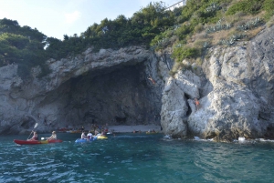 Dubrovnik: Guided Kayaking Tour from Pile Park Beach