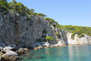Dubrovnik: Premium Half-Day Blue Cave Tour from Old Town
