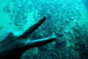 Dubrovnik: Halvdagers båttur til Elaphite Islands