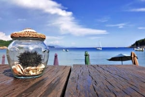 Dubrovnik: Halvdagers båttur til Elaphite Islands