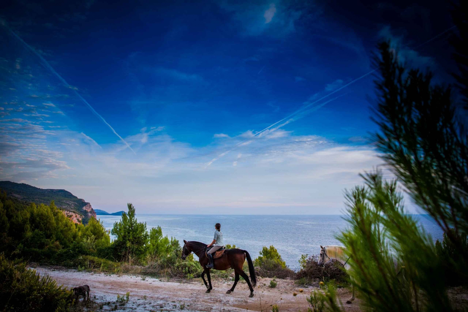 Dubrovnik Kojan Koral: paardrijden