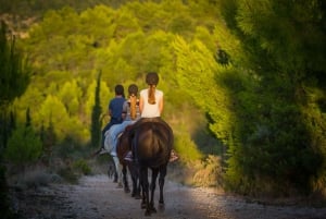 Dubrovnik Kojan Koral: passeios a cavalo