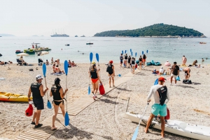 Dubrovnik: Lokrum Island and City Walls Tour by Kayak
