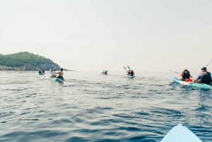 Dubrovnik: Lokrum Island and City Walls Tour by Kayak