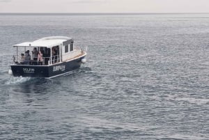 Dubrownik: panoramiczny rejs po Starym Mieście i wyspie Lokrum