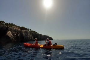 Dubrovnik: Gamla stans murar och ön Lokrums solnedgångstur i kajak