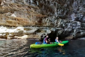 Dubrovnik: Gamla murar och ön Lokrum kajakpaddlingstur