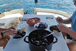 Dubrovnik: Oyster, Mussles, and Wine Tasting Tour in Ston