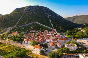 Dubrovnik: Oyster, Mussles, and Wine Tasting Tour in Ston