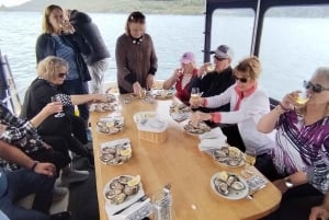 Dubrovnik: oester-, mossel- en wijnproeverijtour in Ston