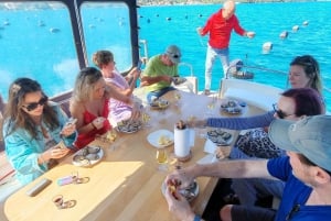 Dubrovnik: Austern-, Muschel- und Weinverkostungstour in Ston