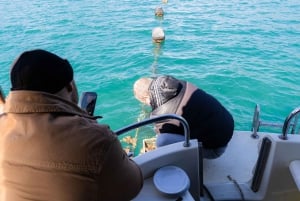 Dubrovnik: Austern-, Muschel- und Weinverkostungstour in Ston