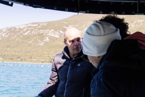 Dubrovnik: Austern-, Muschel- und Weinverkostungstour in Ston