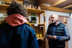 Dubrovnik: Austern-, Muschel- und Weinverkostungstour in Ston