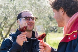 Dubrovnik: Austern-, Muschel- und Weinverkostungstour in Ston
