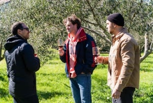 Dubrovnik: Austern-, Muschel- und Weinverkostungstour in Ston