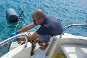 Dubrovnik: Oyster, Mussles, and Wine Tasting Tour in Ston