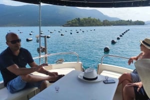 Dubrovnik: Oyster, Mussles, and Wine Tasting Tour in Ston