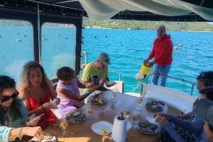 Dubrovnik: Oyster, Mussles, and Wine Tasting Tour in Ston