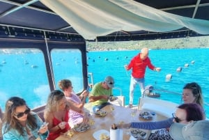 Dubrovnik: Oyster, Mussles, and Wine Tasting Tour in Ston