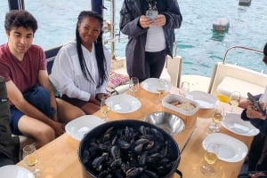 Dubrovnik: Oyster, Mussles, and Wine Tasting Tour in Ston