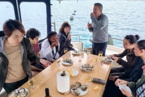 Dubrovnik: Oyster, Mussles, and Wine Tasting Tour in Ston
