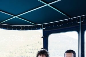 Dubrovnik: Oyster, Mussles, and Wine Tasting Tour in Ston