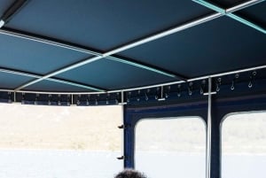 Dubrovnik: Oyster, Mussles, and Wine Tasting Tour in Ston