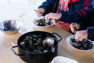 Dubrovnik: Oyster, Mussles, and Wine Tasting Tour in Ston