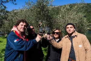 Dubrovnik: Oyster, Mussles, and Wine Tasting Tour in Ston