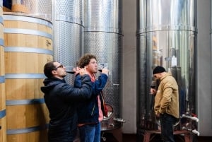 Dubrovnik: Oyster, Mussles, and Wine Tasting Tour in Ston