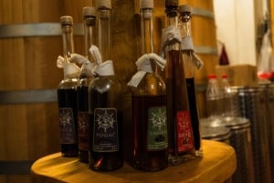 Dubrovnik: Oyster, Mussles, and Wine Tasting Tour in Ston